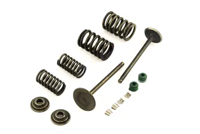 Клапани двигуна в зборі для 4T CG200, пара, L=90 мм