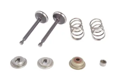 Комплект клапанов ZS для двигателя 168F/170F 6,5–7 л.с., 25×64 и 24×62 мм