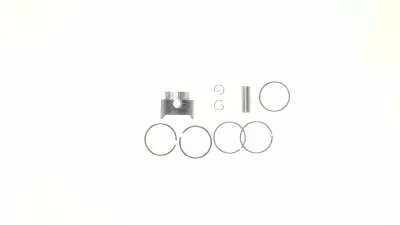 Поршень Delta 70 +0,25 Ø47,25 мм TM (тефлон)