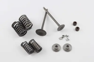 Комплект клапанов в сборе для 4T CG150, L=92 мм