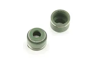 Маслосъёмные колпачки клапанов 4T CG250 PREMIUM GASKETS, пара