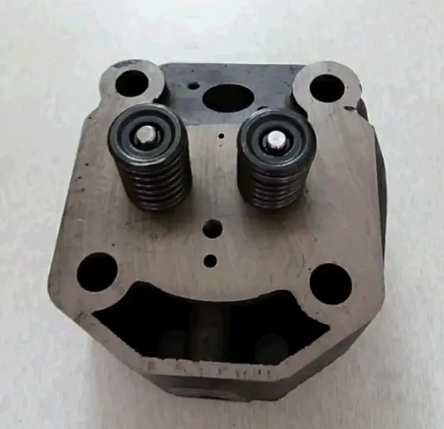 Головка цилиндра 195N 12 л.с. в сборе ZUBR DIGGER