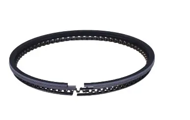 Комплект поршневих кілець 4T CG300 / ProFactory 300 STD 74,00 мм
