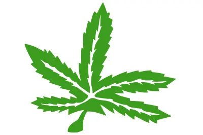 Декоративная наклейка GREEN «Лист» 25×23 см, зелёная, HQ426