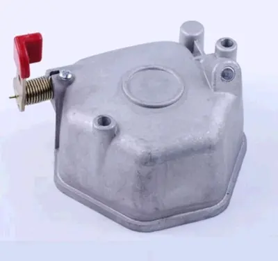 Кришка головки циліндра 186F 9 к.с. ZUBR, у зборі під 2 болти, DIGGER