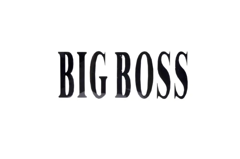 Декоративна наліпка BIG BOSS 18 × 7,5 см, #5944