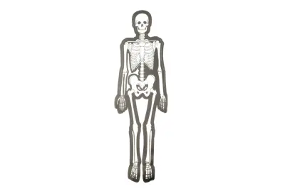 Декоративная наклейка SKELETON 29×10 см (0072B)