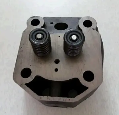 Головка цилиндра 195N 12 л.с. в сборе ZUBR DIGGER
