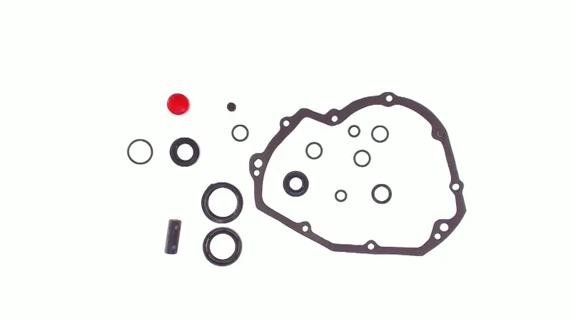 Полный набор сальников КПП МТ, Днепр SKY