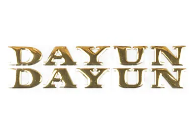 Комплект золотистых наклеек DAYUN 19×4 см, 2 шт.
