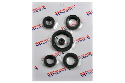 Комплект сальников двигателя 4T CG200 Premium Gaskets