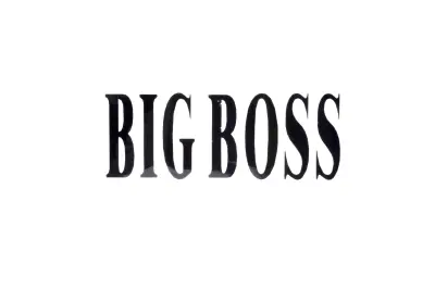 Декоративна наліпка BIG BOSS 18 × 7,5 см, #5944