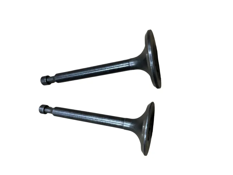 Клапаны впускной и выпускной 168F/170F 6,5–7 HP, пара TD