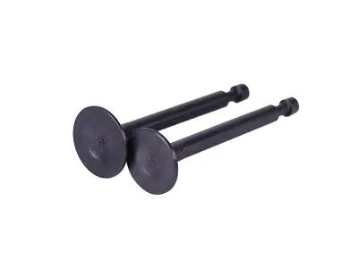 Клапаны двигателя P65F (ZS), пара, голые, DIGGER