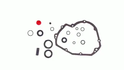 Полный набор сальников КПП МТ, Днепр SKY