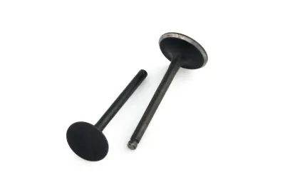 Клапани двигуна 4T GY6 150, L66 мм, пара