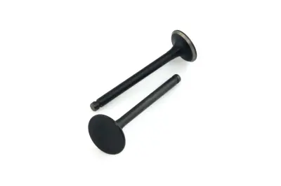 Клапаны двигателя Delta 70 MANLE, пара, голые, L=66,5 мм