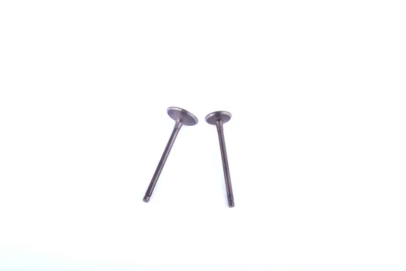 Клапаны впускной и выпускной, пара, для 4T GY6 150 (TM)
