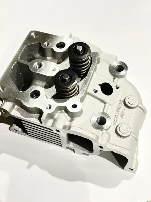 Головка циліндра 186F 9 к.с. у зборі під 2 болти ZUBR/DIGGER