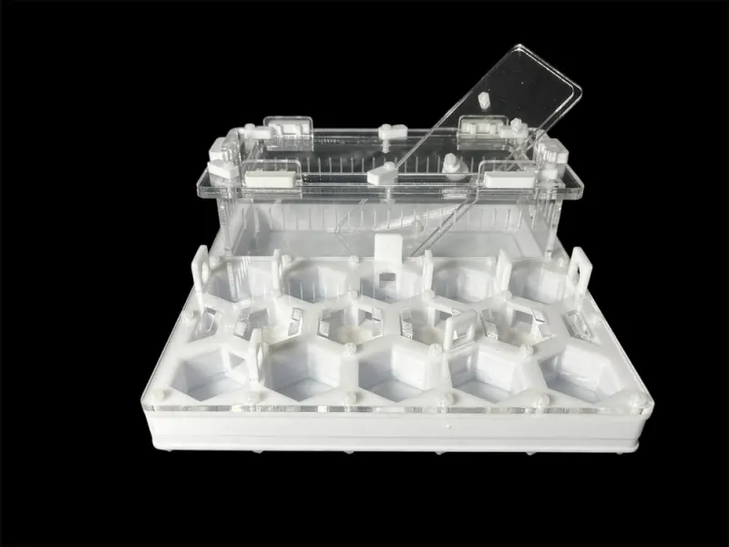 ANTMART Soty White A ant farm, 200×200 mm