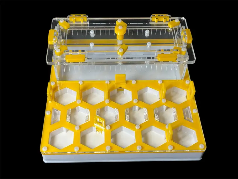 ANTMART Soty Yellow B ant farm, 200×200 mm