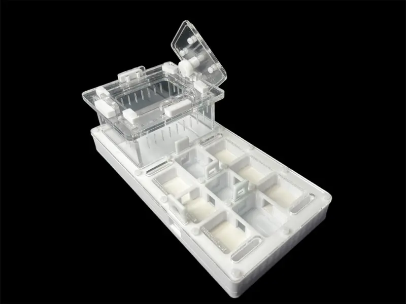 ANTMART Apex White A Ant Farm, 220×110 mm