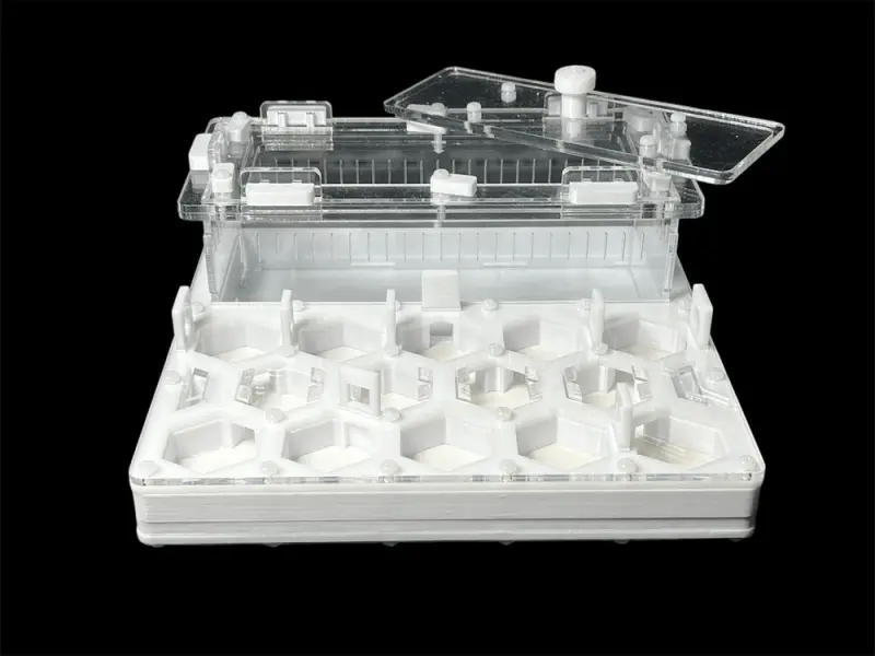ANTMART Honeycomb White Ant Farm, Variant B, 200×200 mm