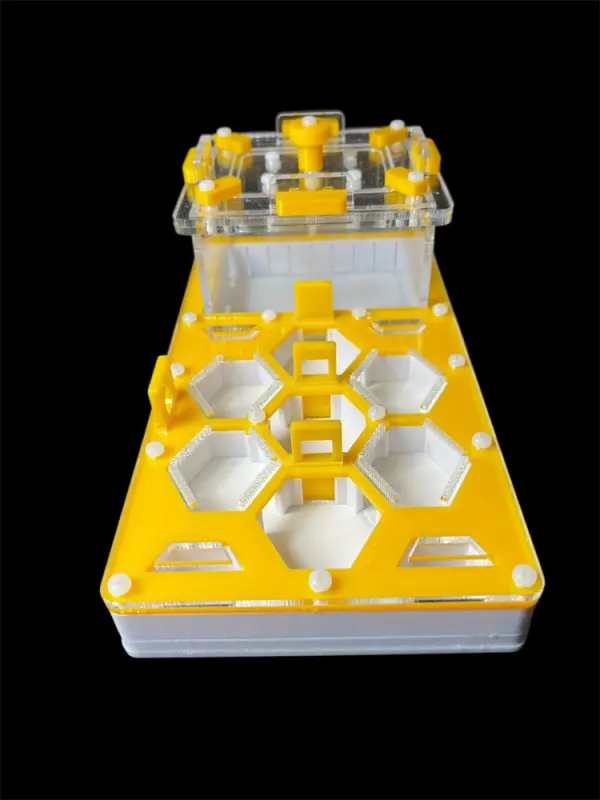 ANTMART Honeycomb Yellow Ant Farm, Variant B, 220×110 mm, G23 Gypsum