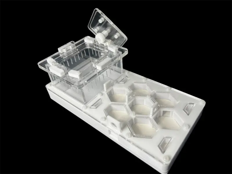 ANTMART Honeycomb White 220×110 Ant Farm, Variant B