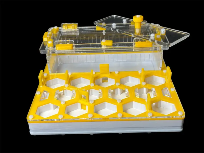 ANTMART Soty Yellow B ant farm, 200×200 mm