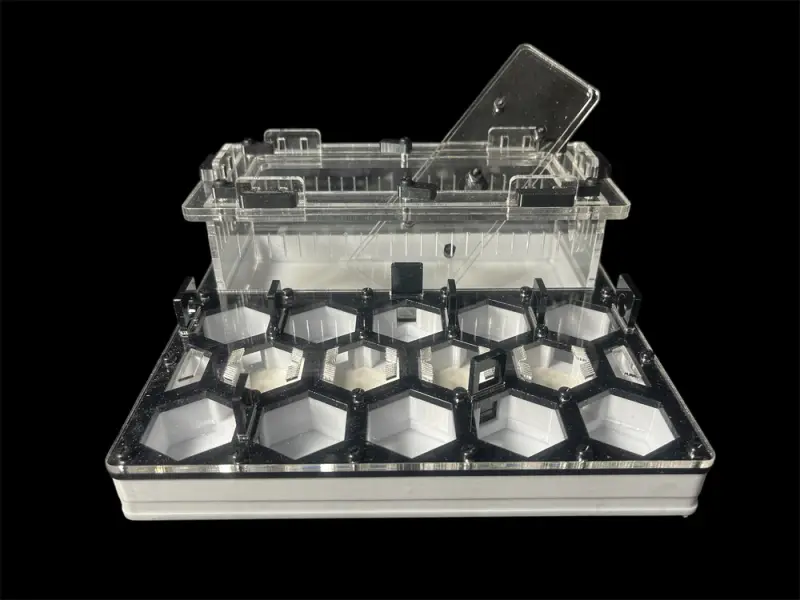 ANTMART Honeycomb Black A ant farm, 200×200 mm