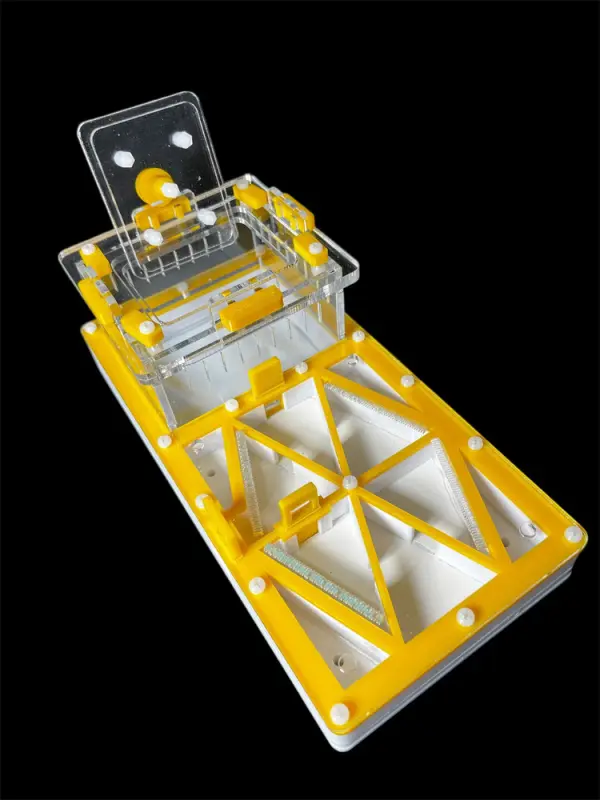 ANTMART Flow Yellow 220×110 Ant Farm, Variant B