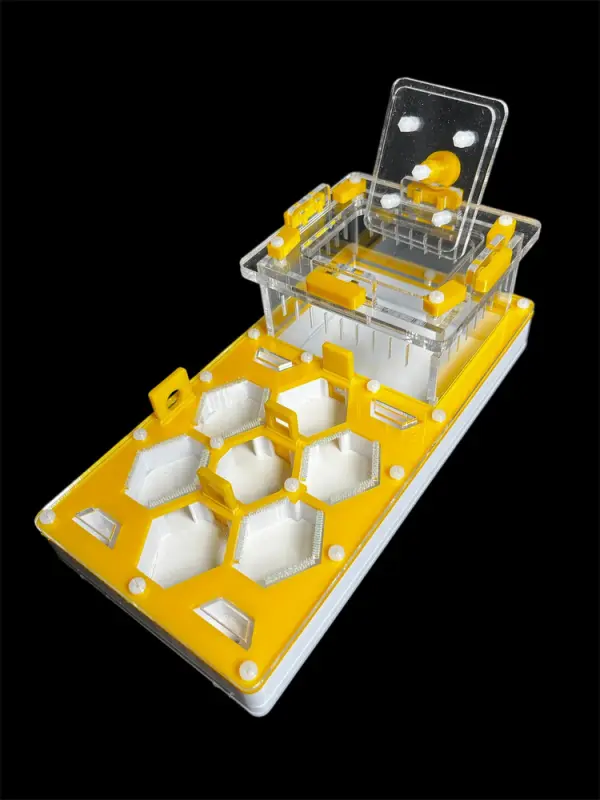 ANTMART Honeycomb Yellow Ant Farm, Variant B, 220×110 mm, G23 Gypsum
