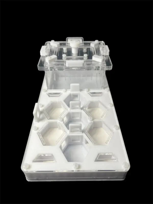 ANTMART Honeycomb White Ant Farm, Variant A, 220×110 mm