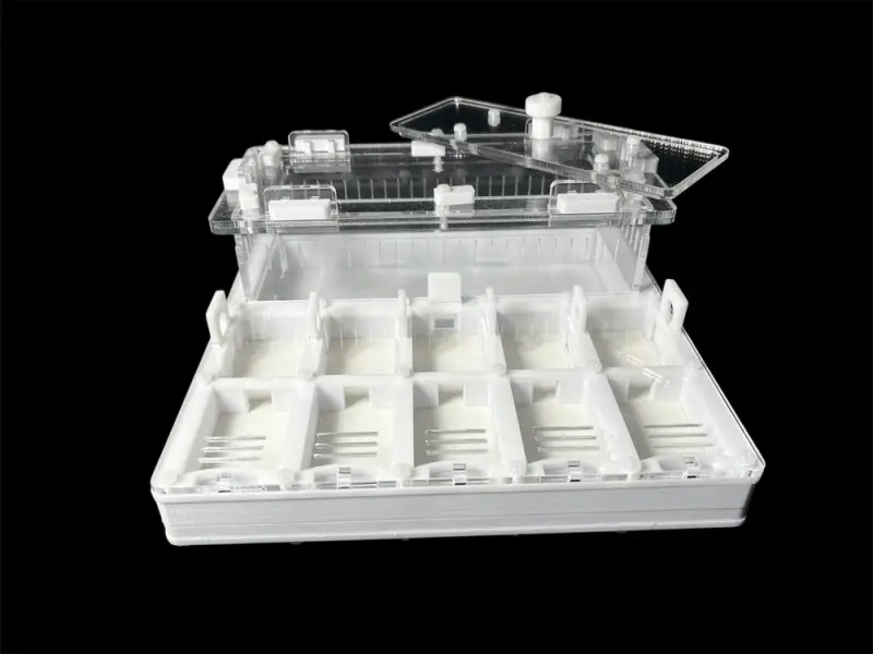 ANTMART Grid White 200×200 ant farm, Variant B, PETG and G-23 gypsum
