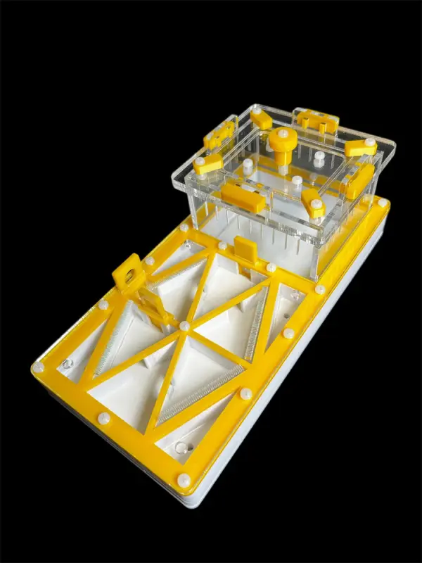 ANTMART Flow Yellow 220×110 Ant Farm, Variant B