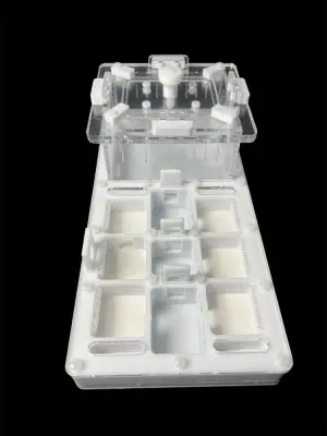 Мурашина ферма ANTMART Apex White A, 220×110 мм