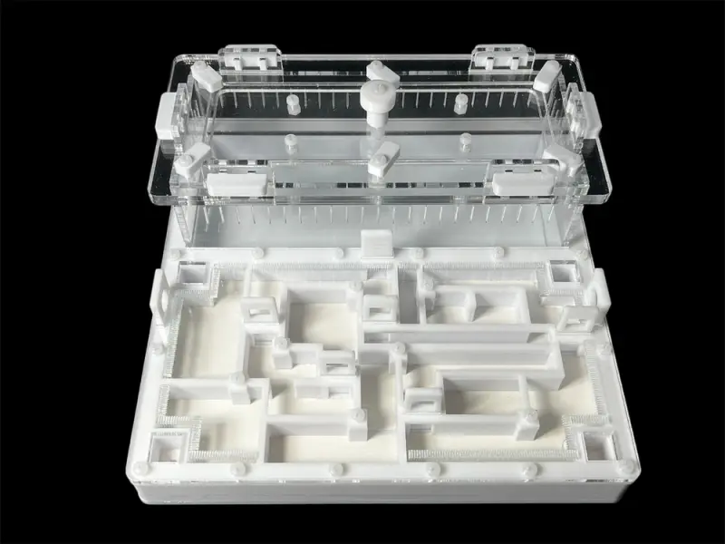 ANTMART Labyrinth White B Ant Farm, 200×200 mm