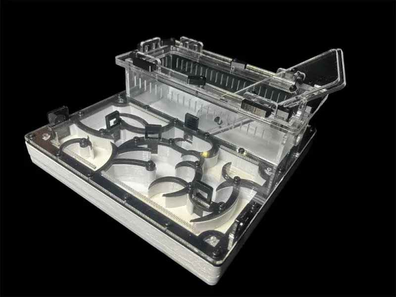 Origin Black 200×200 mm PETG formicarium with G-23 gypsum, variant A