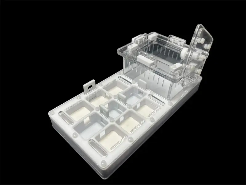ANTMART Apex White A Ant Farm, 220×110 mm