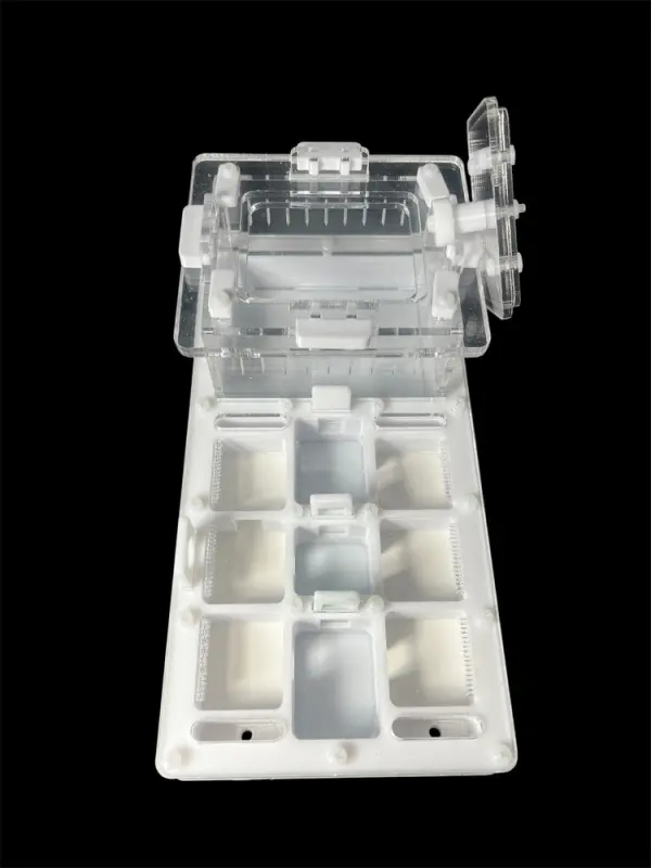 ANTMART Apex White A Ant Farm, 220×110 mm