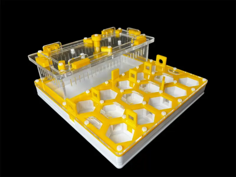 Муравьиная ферма ANTMART Соты Yellow А 200х200мм