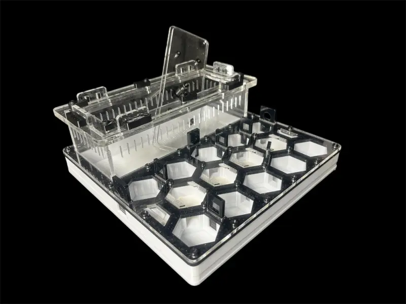 ANTMART Honeycomb Black A ant farm, 200×200 mm