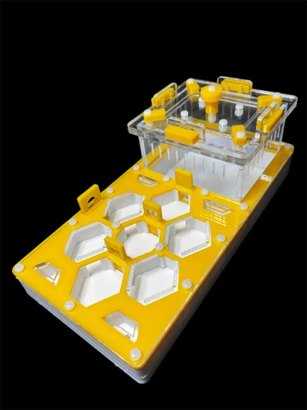 ANTMART Honeycomb Yellow Ant Farm, Variant B, 220×110 mm, G23 Gypsum