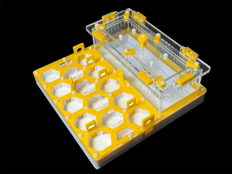 ANTMART Soty Yellow B ant farm, 200×200 mm