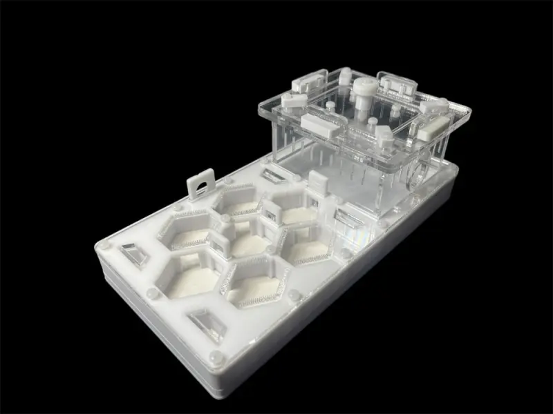 ANTMART Honeycomb White 220×110 Ant Farm, Variant B