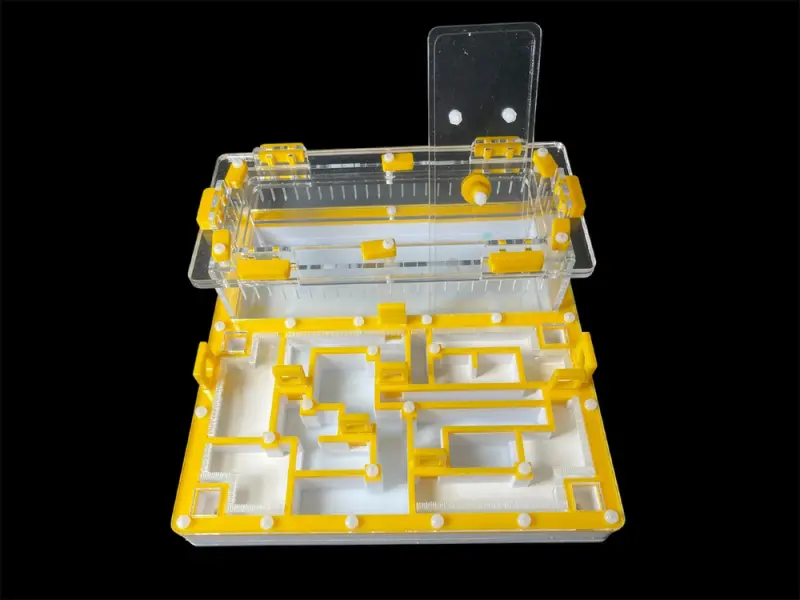 ANTMART Лабиринт Yellow А ant farm, 200х200 mm