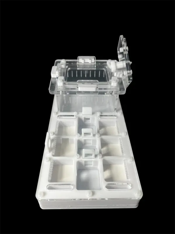 ANTMART Apex White A Ant Farm, 220×110 mm