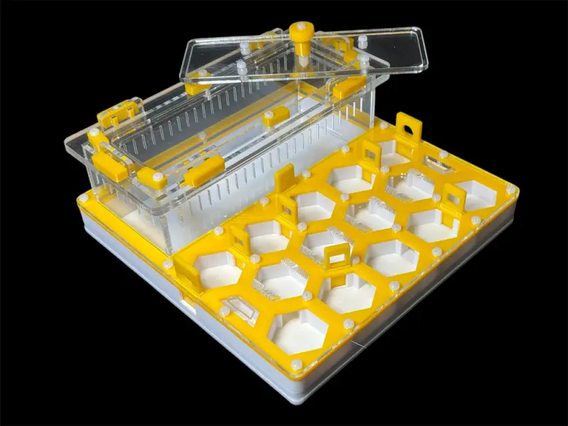 ANTMART Soty Yellow B ant farm, 200×200 mm