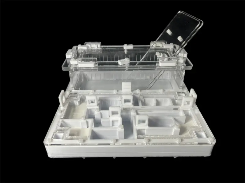 ANTMART Labyrinth White Ant Farm, Variant A, 200×200 mm